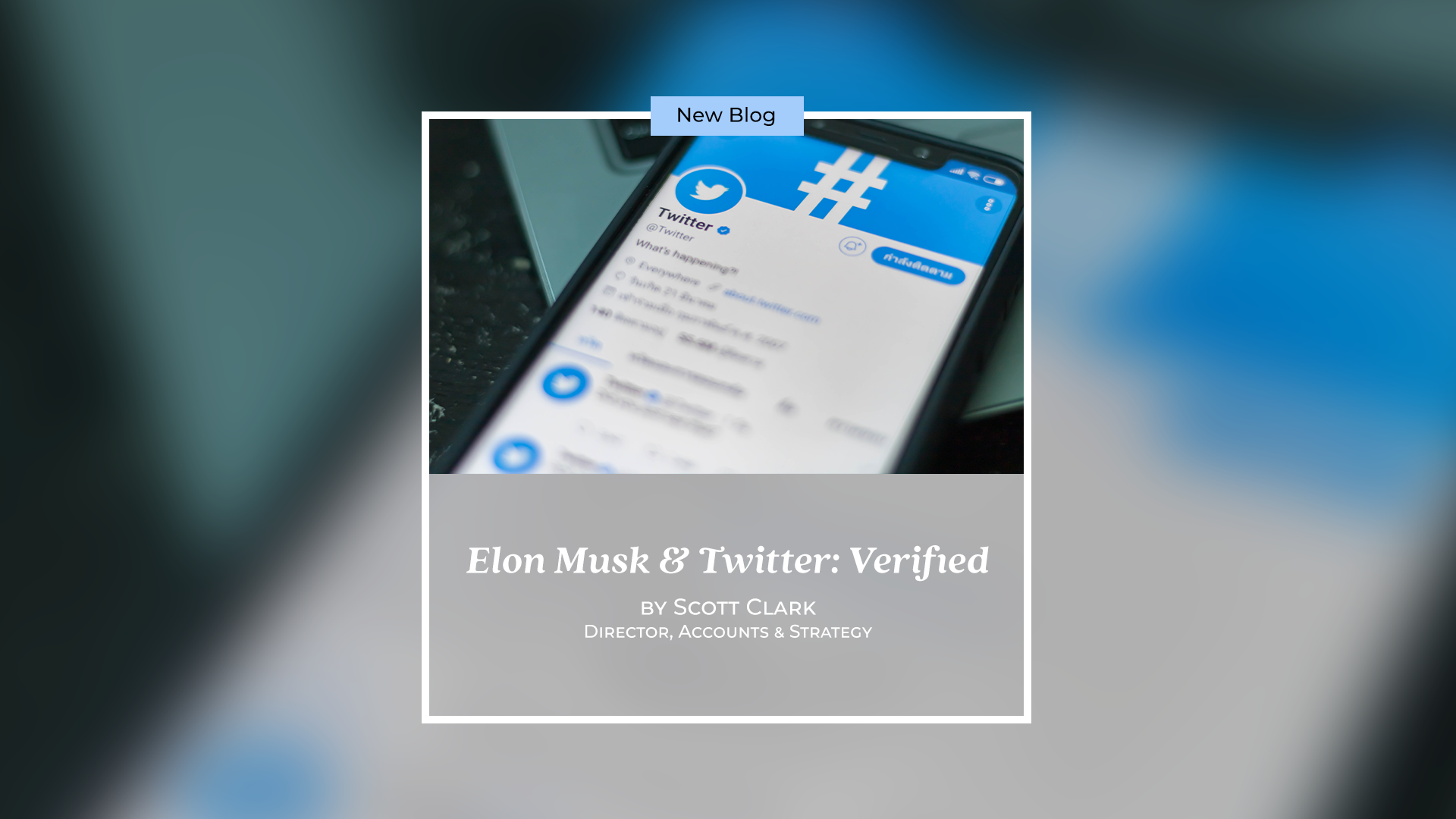 Socialfly-Twitter-Musk